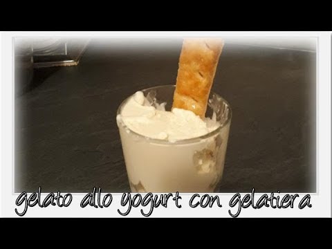 Come preparare delizioso gelato allo yogurt con gelatiera