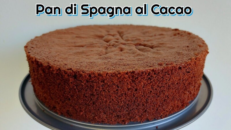 Pan di Spagna al cacao da 26 cm